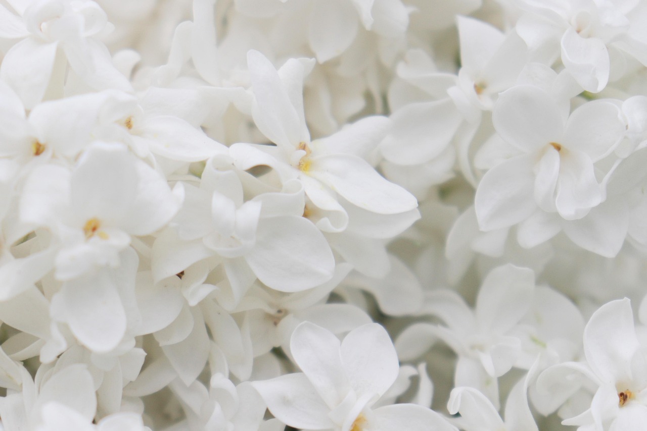 今すぐお問い合わせを！